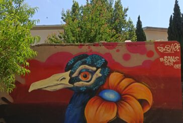 Colle: i giardini pubblici di via Gramsci rivivono la street art
