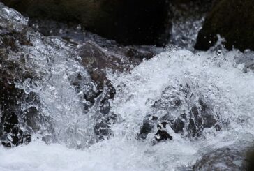 Acqua, una risorsa essenziale per l’agricoltura della Valdichiana