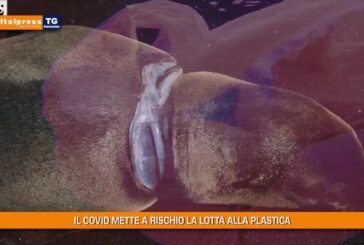 Tg Ambiente – 20/6/2021