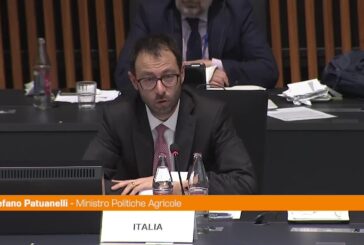 Patuanelli: “Ue abolisca gli allevamenti di animali da pelliccia”