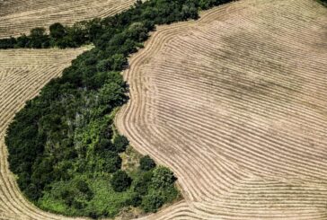 63% mamme italiane pensa che prendersi cura dell'ambiente sia costoso