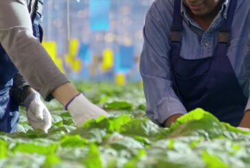 La bioeconomia in Italia vale 317 mld