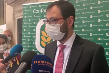 Agricoltura, Patuanelli “Contratti filiera per difendere valore prodotti”