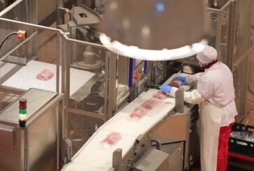 A maggio occupazione in aumento