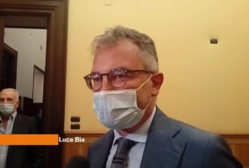 Bianchi (Svimez) “Per ripartenza decisivo ruolo politiche pubbliche”