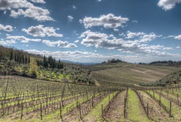 Gaiole sostiene la candidatura del Chianti patrimonio Unesco