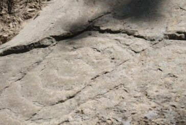 Incisioni rupestri a Vertine: una bella scoperta