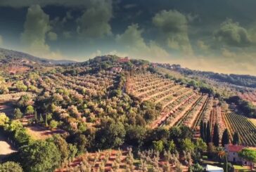 Agriturismi tra tutto esaurito e calo stranieri
