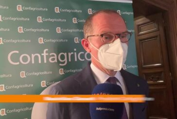 Giansanti: “Sfida agricoltura italiana è dimostrare le sue potenzialità”