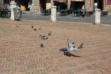 “Ritratti in Piazza”, gli studenti del liceo artistico ritraggono turistici e cittadini