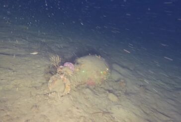In Sicilia ritrovato un relitto romano del II secolo avanti Cristo