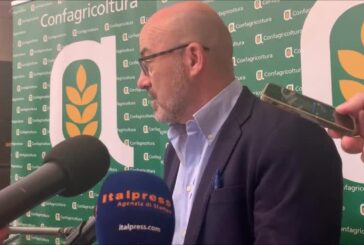Agricoltura, Cingolani “Previste misure per efficientare sistema”