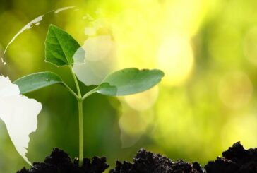 Wwf, 39 mln posti lavoro senza sussidi che danneggiano natura