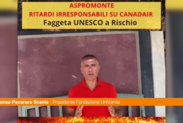 Incendi in Aspromonte, Pecoraro Scanio: “Canadair e Governo in ritardo”