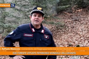 Tg Ambiente – 8/8/2021