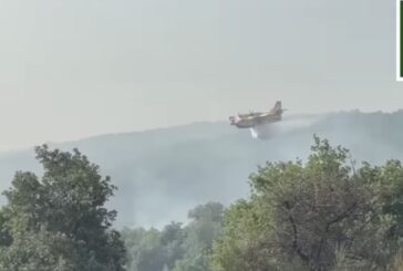Incendi dalle Madonie al Parco dell'Etna, canadair in azione in Sicilia