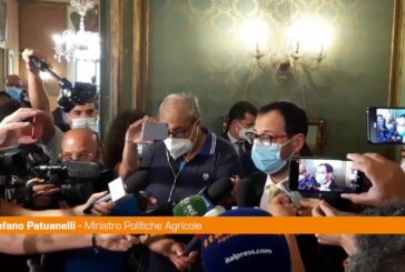 Incendi, Patuanelli: “Subito ristori, ma serve prevenzione”