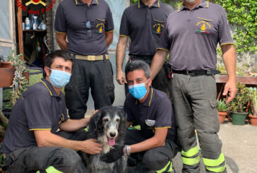 Cane liberato dai Vigili del fuoco a Montepulciano