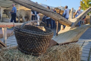 Sinalunga: dal 2 al 10 ottobre torna la Fiera alla Pieve
