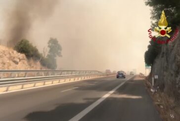 Incendi, brucia vegetazione nel palermitano