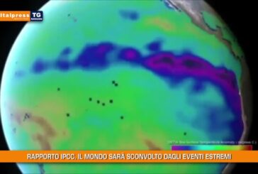 Tg Ambiente – 1/8/2021
