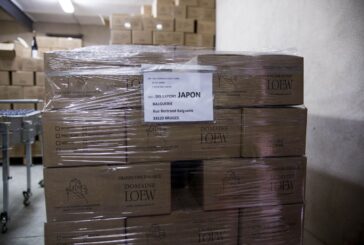 Crescita congiunturale per entrambi i flussi dell'export