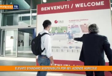 Tg Ambiente – 12/9/2021