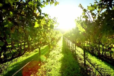 Elevati standard sostenibilità per 48% aziende agricole 