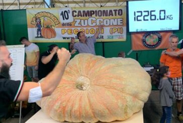 Lei è una vera zucca, anzi una zuccona