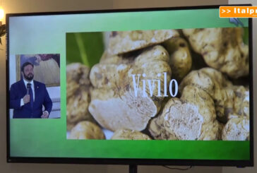 Nasce il portale unico del tartufo delle Marche