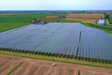 Genetica e digitale: le parole chiave per l’agricoltura del futuro