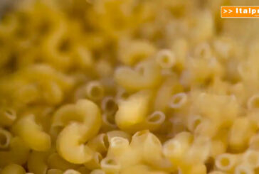 World Pasta Day, italiano 60% del grano duro utilizzato