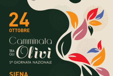 “Camminata fra gli olivi”, Siena valorizza l’eccellenza dell’olio