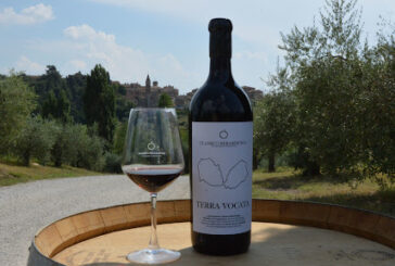 Terra vocata: i viticoltori di Castelnuovo incontrano i wine lovers