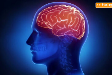 Scoperte, così il cervello si protegge dalle infiammazioni intestinali