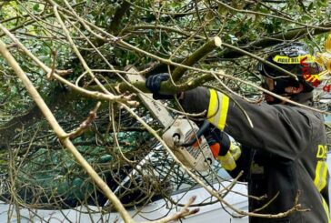 Esterna Fontebranda: albero cade su una vettura