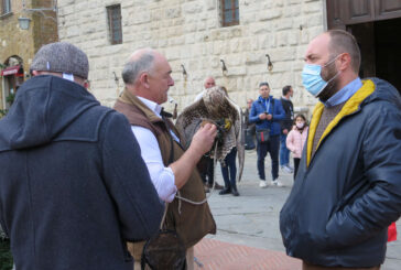 Montepulciano: i dissuasori dei piccioni sono i falchi