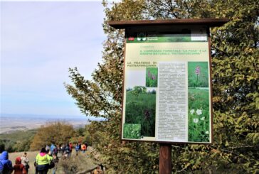 Ecco i “sentieri del benessere” al Parco archeologico-naturalistico di Belverde a Cetona