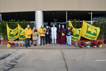 100 stelle di Natale ai professionisti impegnati in area Covid e in PS