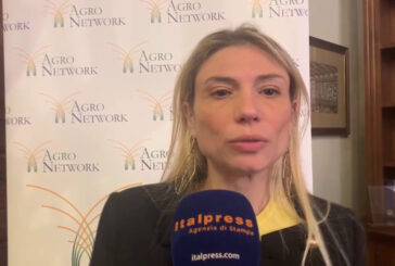 Agricoltura e industria alleate per la sostenibilità