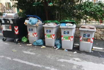 Sena Civitas torna a parlare di rifiuti: “A Siena arrivano i gabbiani”