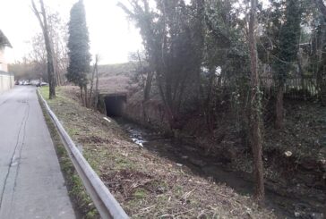 CB6 ha “ripulito” il fosso di Riluogo, dietro alla stazione di Siena