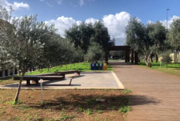 Palermo, dagli ulivi del "Giardino della memoria" nasce l'olio santo