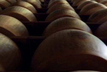 Il 2021 anno record per Parmigiano Reggiano