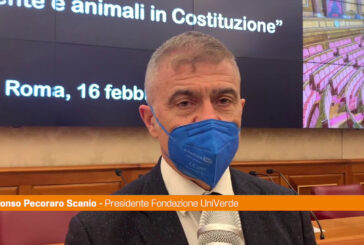 Pecoraro Scanio "Ambiente in Costituzione, le leggi si adeguino"