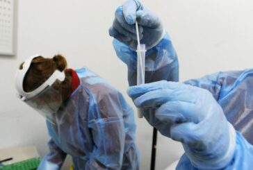 Coronavirus: 282 nuovi casi negli ultimi sette giorni. Nessun decesso