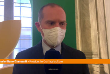 Giansanti "Servono misure emergenziali forti per l'agricoltura"