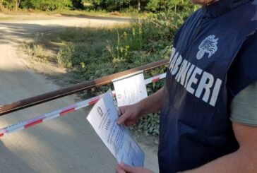 Manodopera irregolare in cantieri forestali: operazione dei Carabinieri