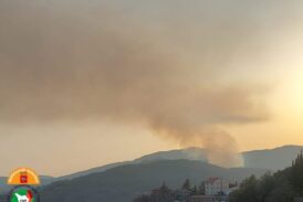 Coldiretti toscana: “Mille ettari di bosco, macchia mediterranea e pascoli, in fumo”
