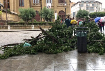 Il vento e i temporali devastano Palermo